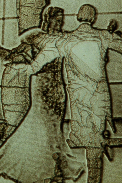 Në Imazhin e Tij: Gëzimi në Planin e Zotit për Gjininë dhe Seksualitetin poster