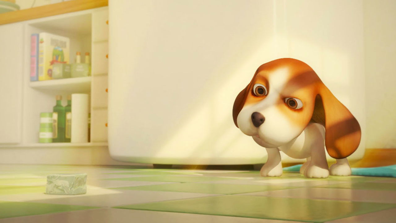 Pa Zgjedhje backdrop