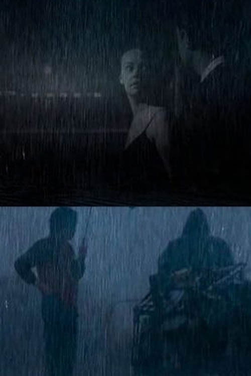 Labirinti i Borës poster