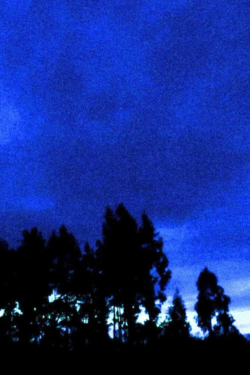 E Mrekullueshme Zonja Stella Estelle poster