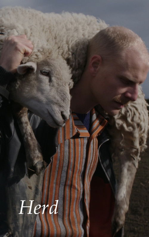 E Vërteta e Plotë mbi Ovnitë poster