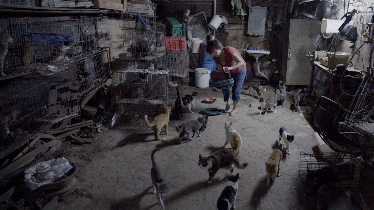 Vdekja është te shtratit backdrop