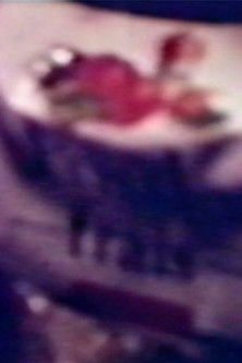 Emmeti Guximtar, Martiri i Irlandës poster