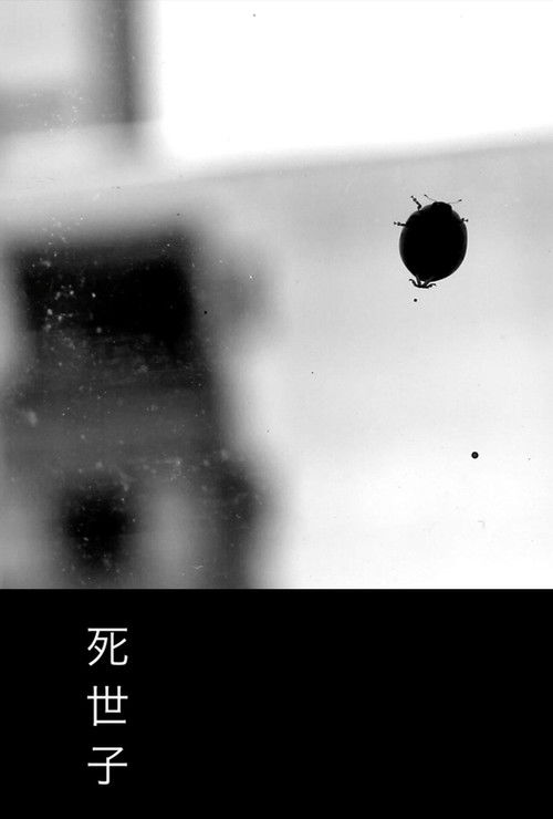 Bolek a Lolek në pushime 2 poster