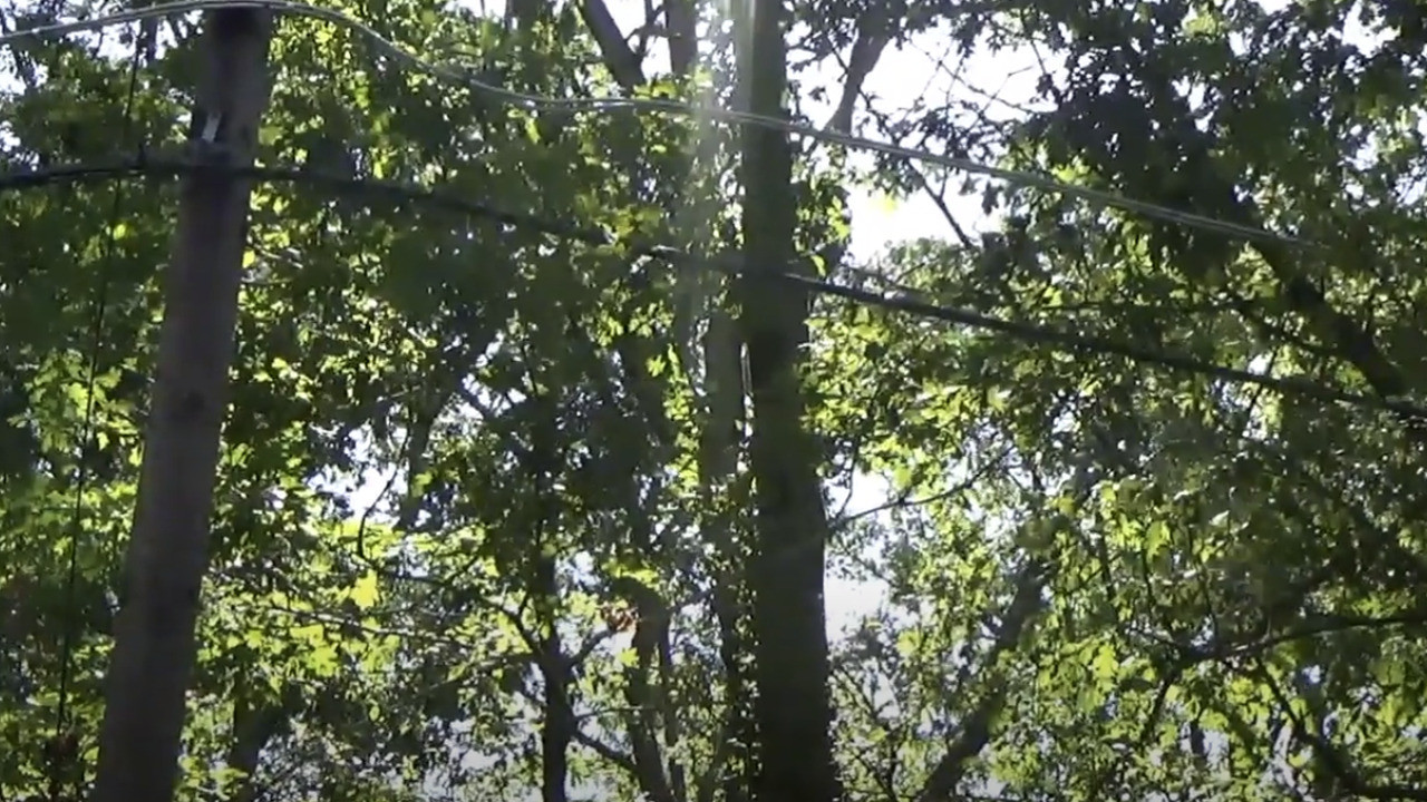 Shtegu Mercator backdrop