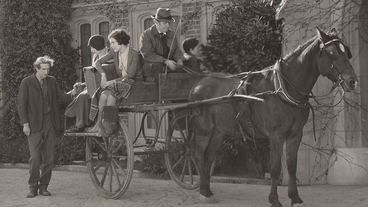 Ditëlindja e Alicës backdrop