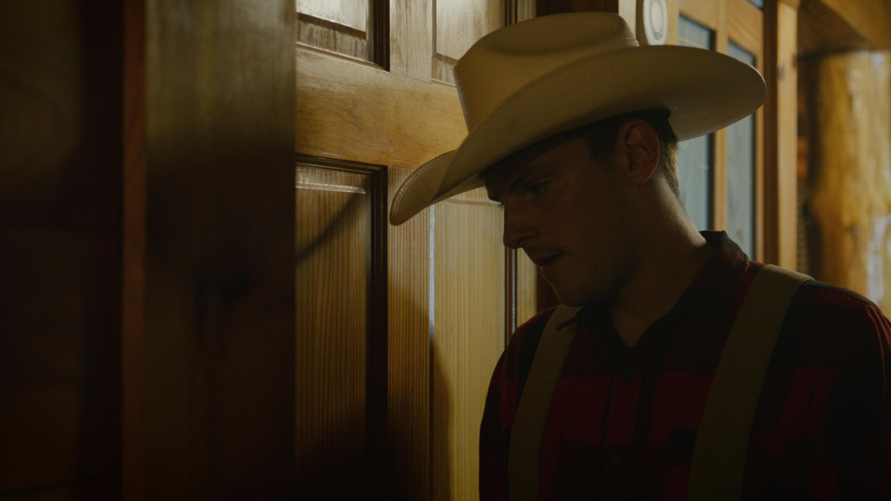 Mos u takoni në pyll backdrop