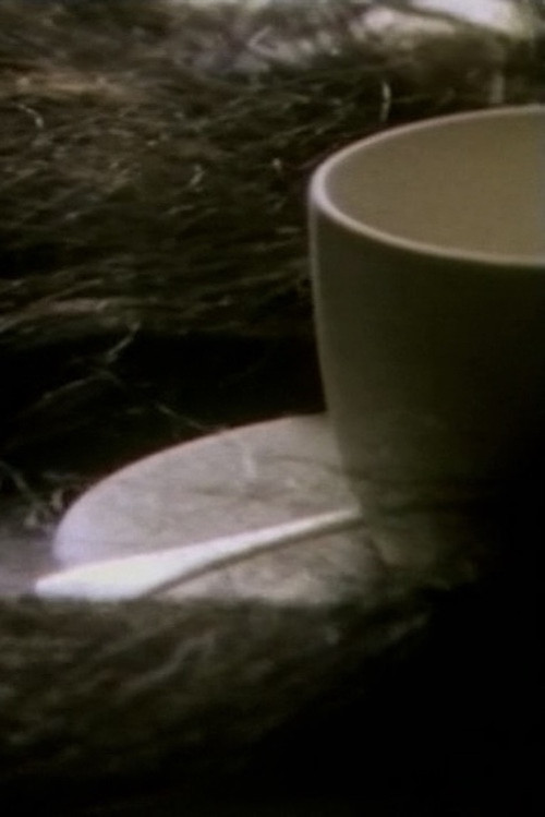 Në Rjetin e Merimangës poster