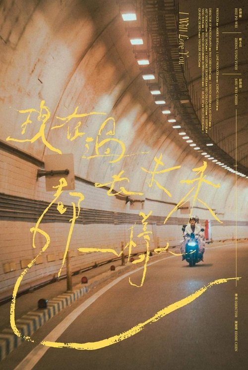 Pëllumbat pa feçe poster