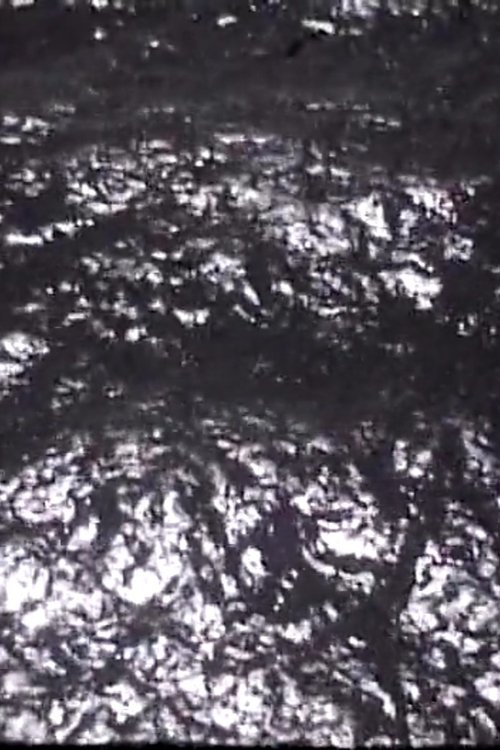 Një Letër Për Ferdinand poster