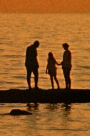 Operacioni Çmendur: Vdesin! Irresponsabiliteti