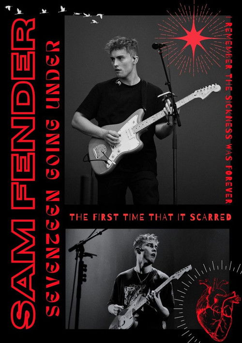 Alabama Outlaws - Boks në Rrjetin Indie poster