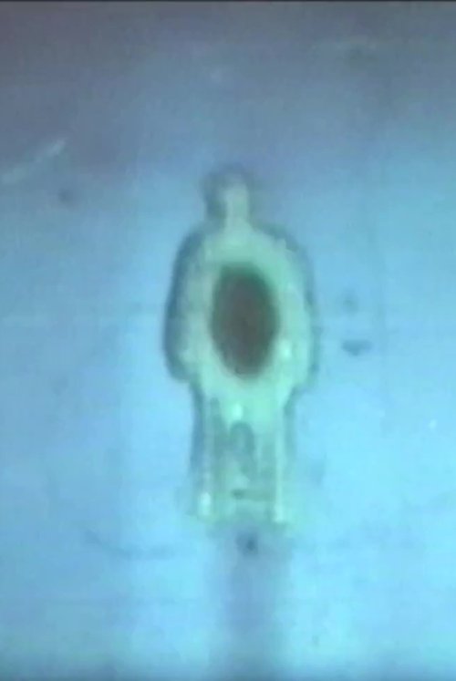 Izpostītā ligzda poster