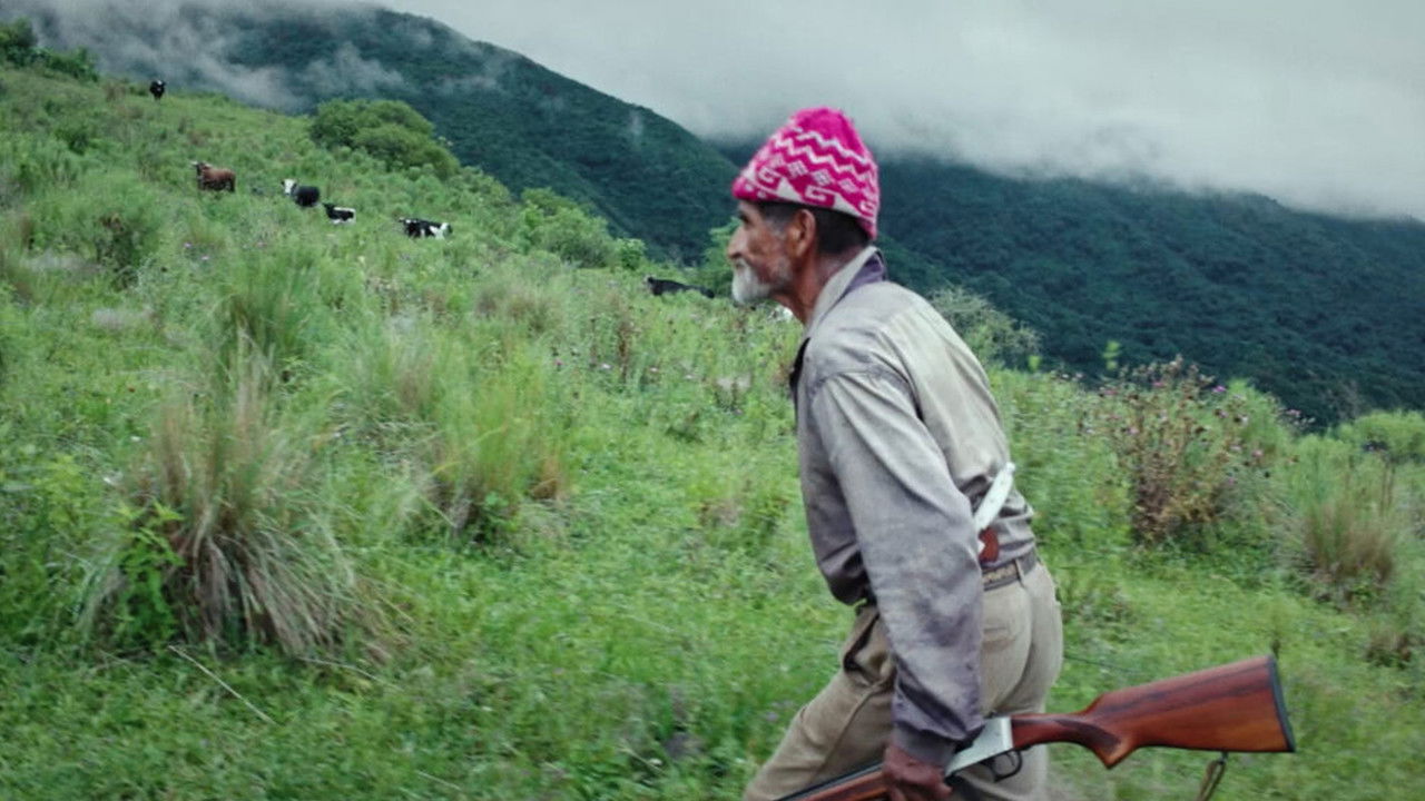 Punto y banca backdrop