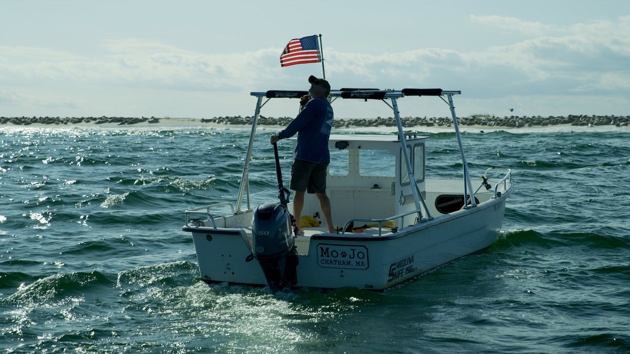 kokteijte në Britani backdrop