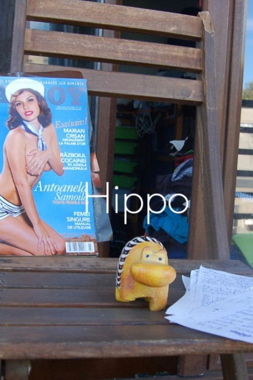 Kronikat e '22 poster