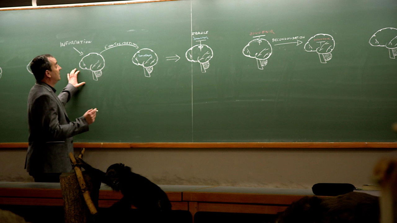 Lustratoret e oxhakëve të Val D'Aosta backdrop