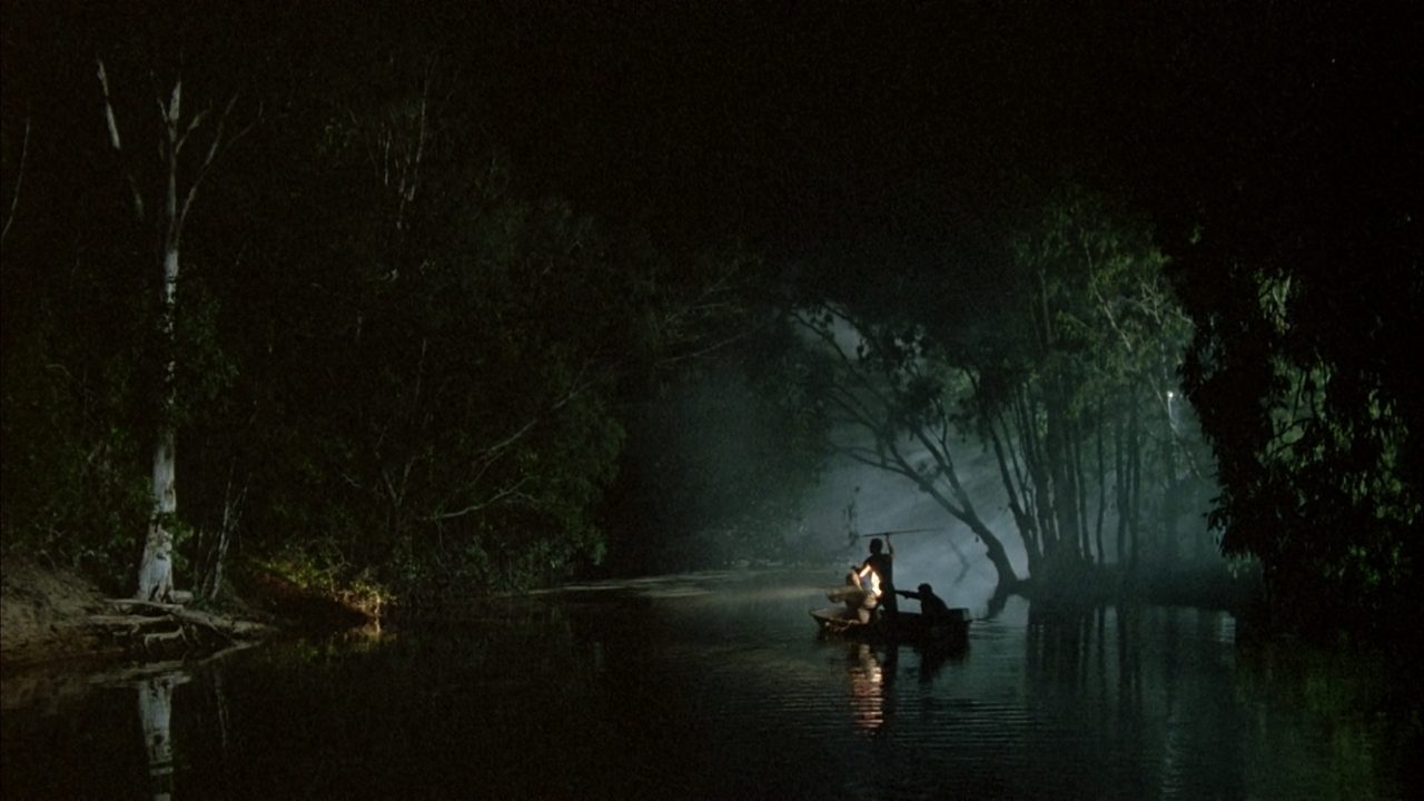 Gatão de Meia Idade backdrop