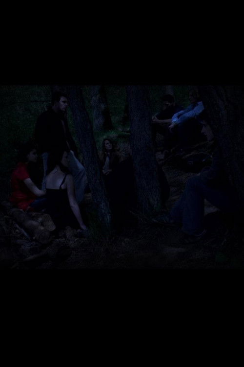 LDR 2: Ku është Romeo im? poster