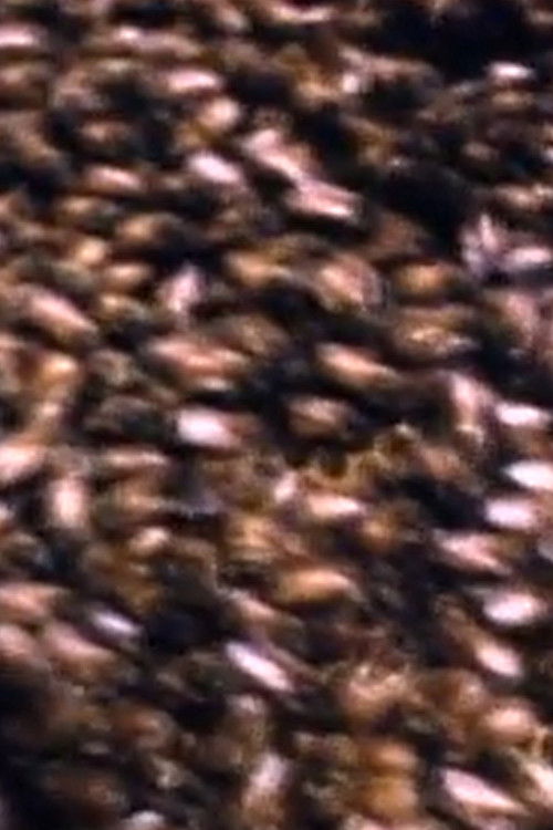 Nënshtrimi Underground 10 poster