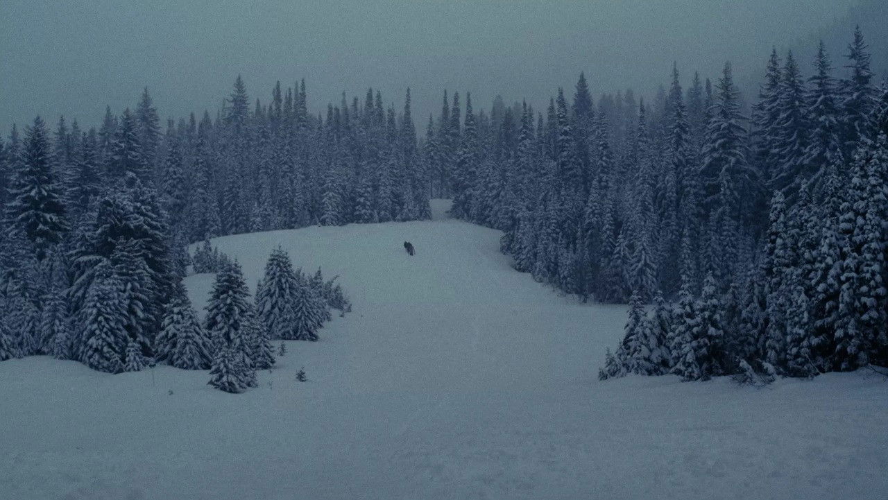 The title 马路骑士 can be translated to Albanian as Kavalieri i Rrugës backdrop