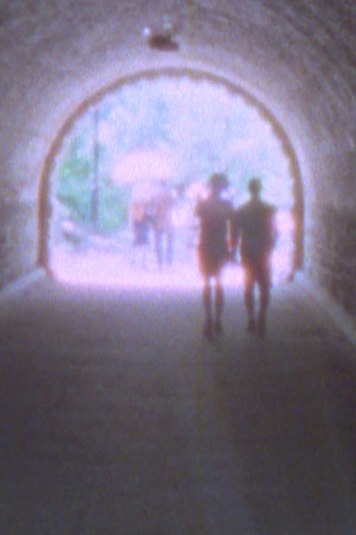 Kallukondoru Pennu poster