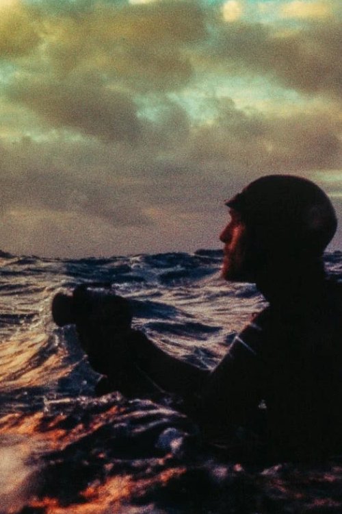 Noma at Boiling Point poster