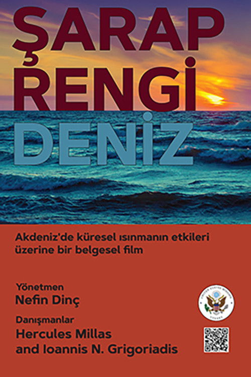 Rruga e Delikuentëve poster