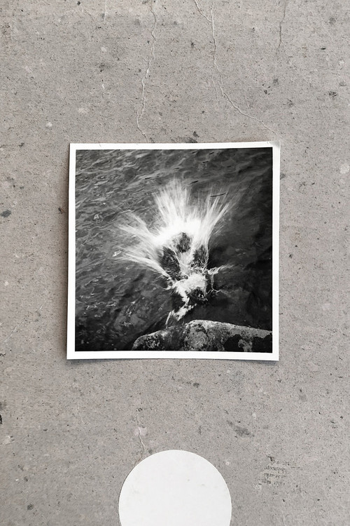 Të gjithë në Washington: Një Koncert për Ndihmën ndaj COVID-19 poster