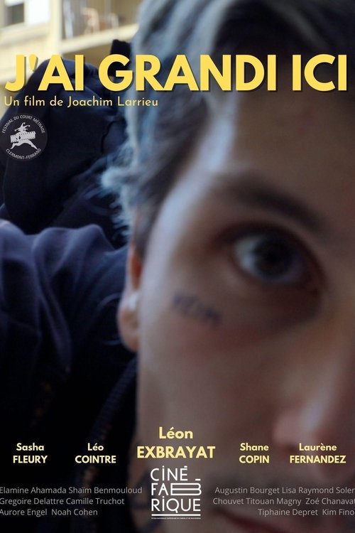 Dairy i Ri i New Yorkut poster