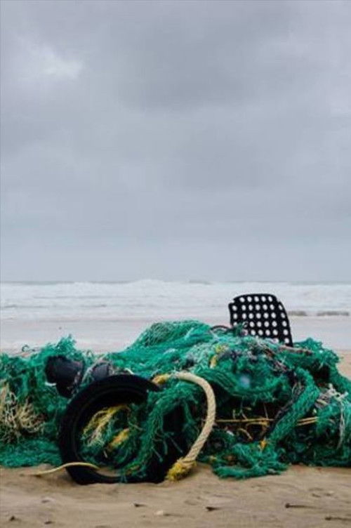 Radio e Popullit – Baladat nga një Vend Pyjor poster