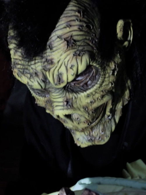 Letra e Salmës poster