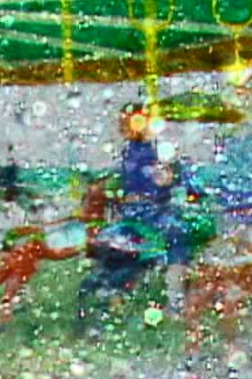 Aiyoku: Dashuria e Dëshirës poster