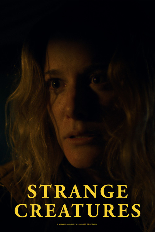 Lumi dhe Gruaja poster