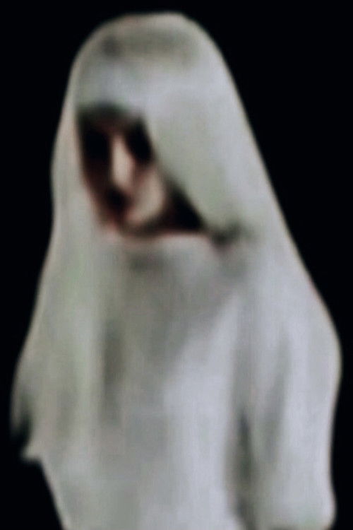 Kim Min-young i Dëshmive të Notave poster