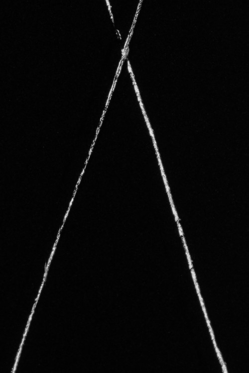 Ta-pullat e Venice-it poster