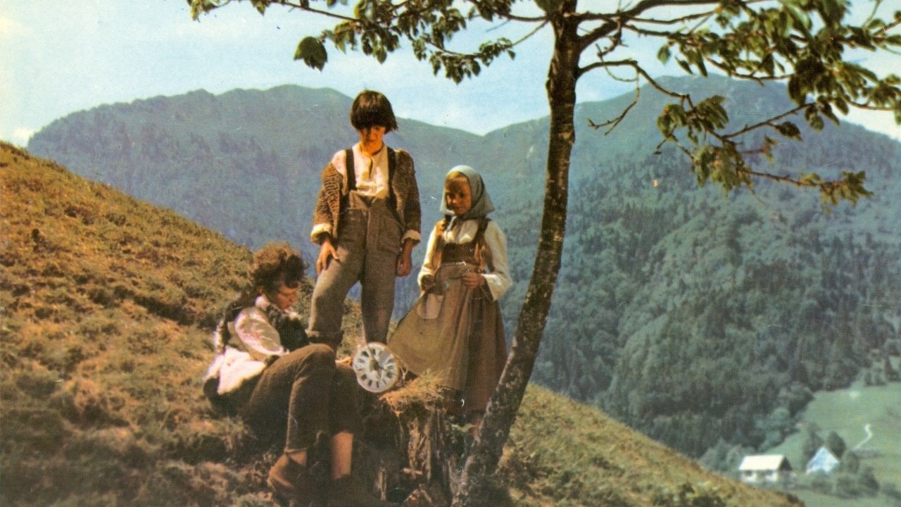 Decemberists: Çështje Praktike backdrop