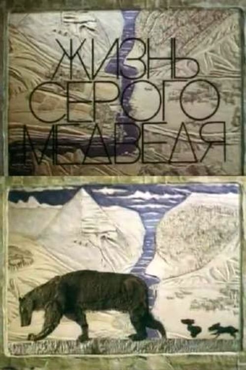 Hoteli në Koppies poster