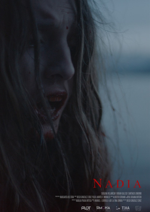 Canonização poster