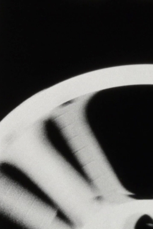 Profesor Balthazar: Reja dhe Qarja poster