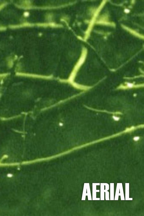 Udhëtim me makinë me Tracy Smothers dhe Paul London poster