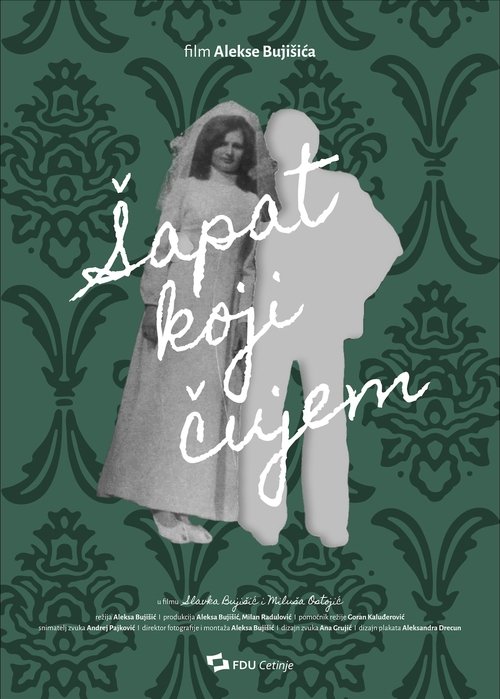 Sulmi i kundërt poster