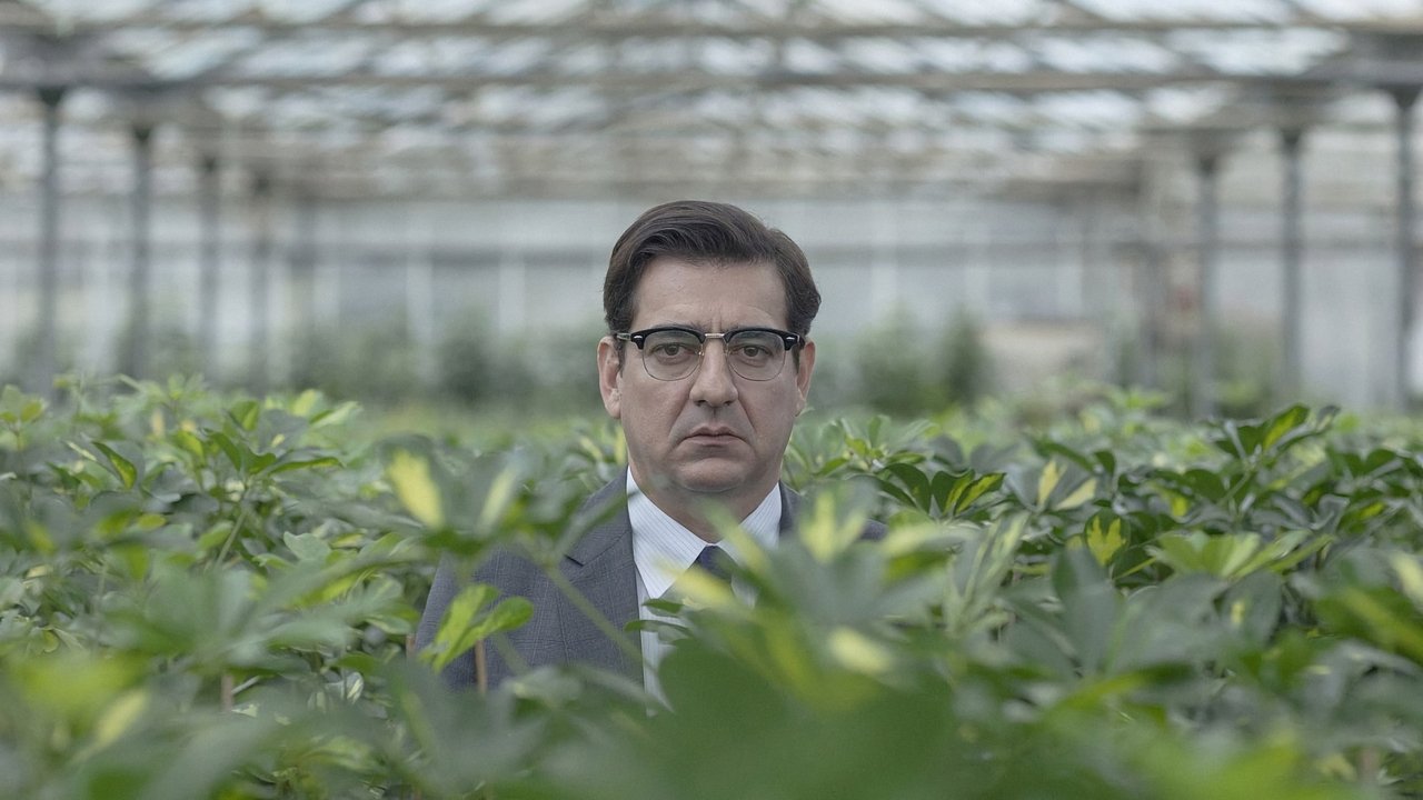 AND1 Mixtape Vëllimi 7 backdrop