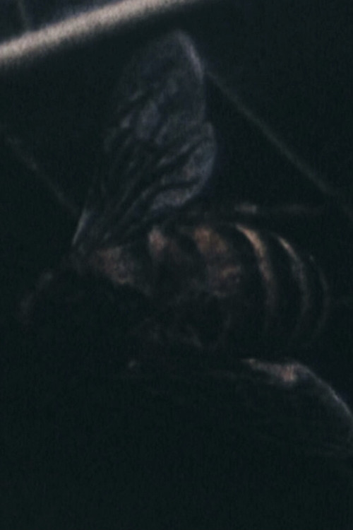 Një Grua Pa Fëmijë poster