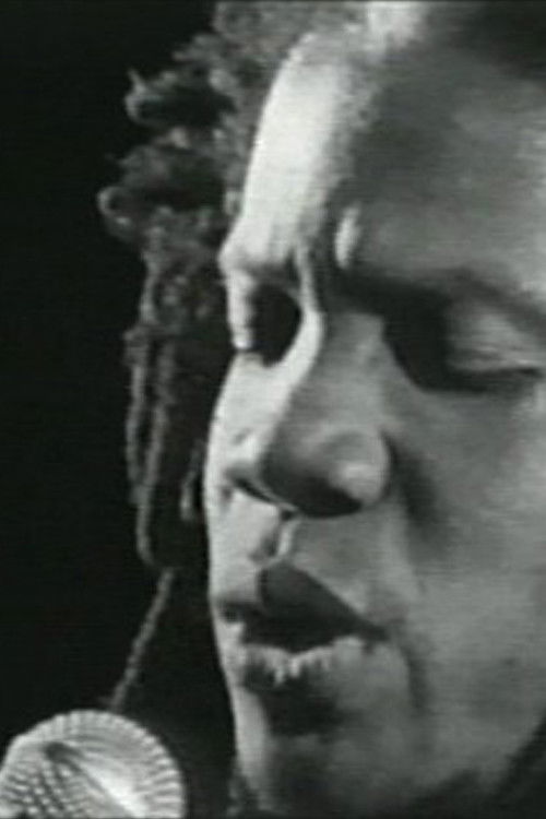 Ndjekja e Diellit të Zi poster