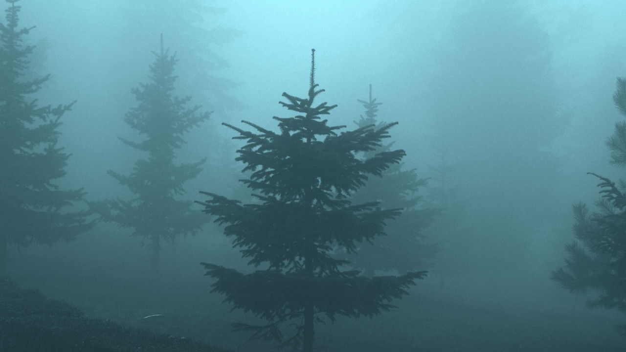 Nënë Skllave backdrop