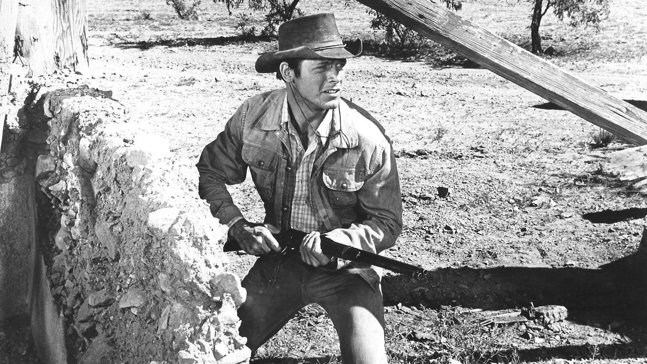 Kroitësit e Arkës së Humbur backdrop