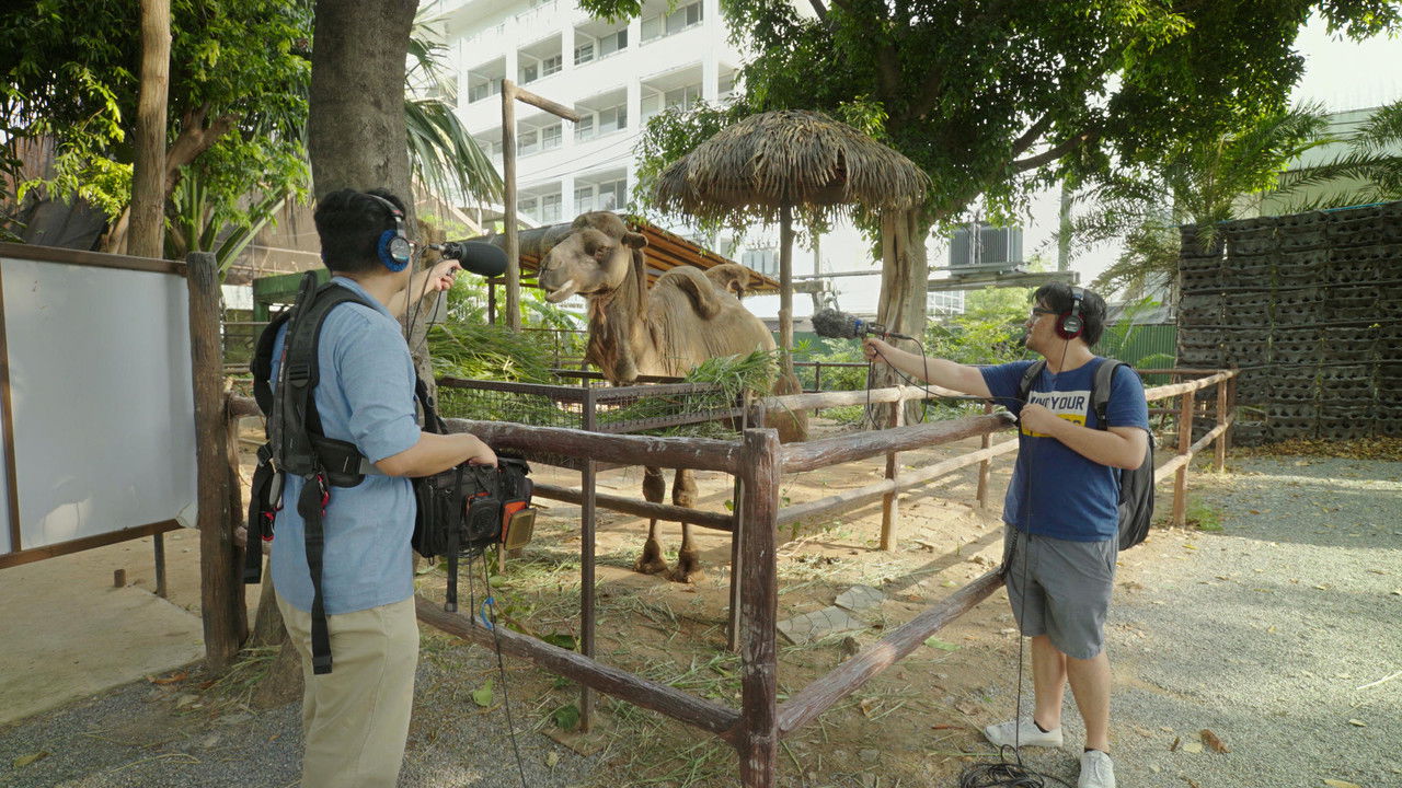 Jashtëtoku backdrop
