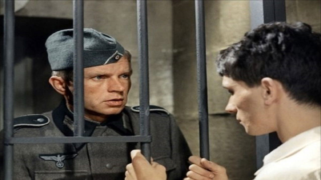 Zot, Unë Besoj backdrop