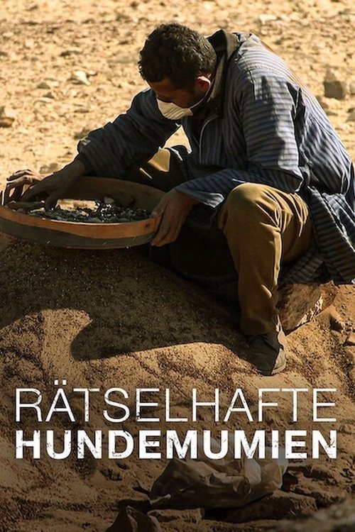 Stuttgart: Dragojtë e 26-të. Sautet e pengesave poster